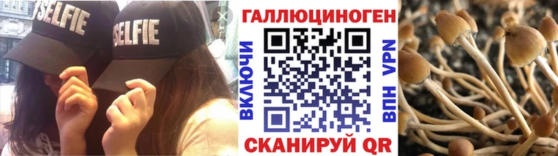omg как зайти  Касли  Галлюциногенные грибы Psilocybe 